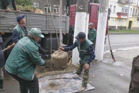 Коммунальщики трех предприятий совместно облагородили частный сектор в Киевском районе (фото)