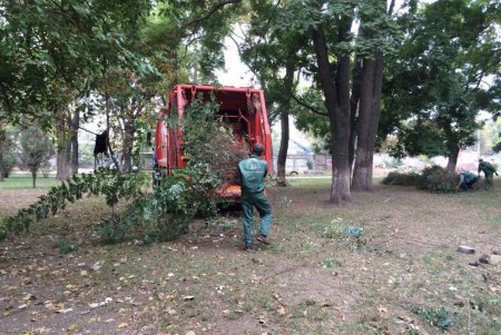 Более ста озеленителей готовят городские парки и скверы к зиме (фото)