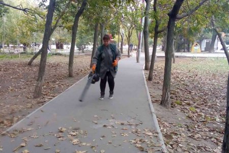 Более ста озеленителей готовят городские парки и скверы к зиме (фото)