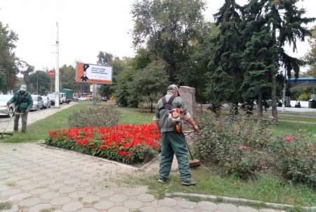 Более ста озеленителей готовят городские парки и скверы к зиме (фото)