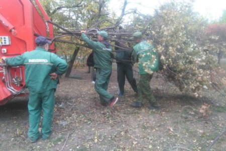 Более ста озеленителей готовят городские парки и скверы к зиме (фото)