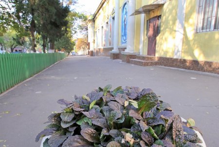 Улица Пастера – центр науки в Одессе (фоторепортаж)