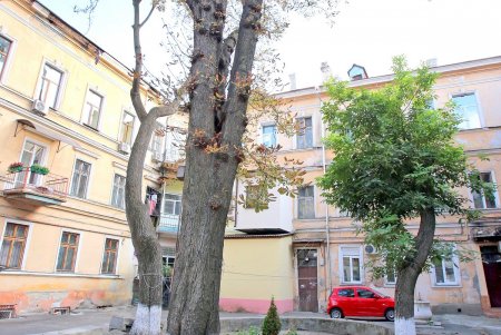 Улица Пастера – центр науки в Одессе (фоторепортаж)