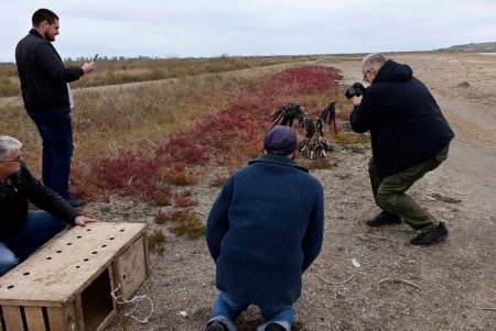 Краснокнижного орлана спасли от уличных фотографов и выпустили в «Тилигульском» парке (фото, видео)