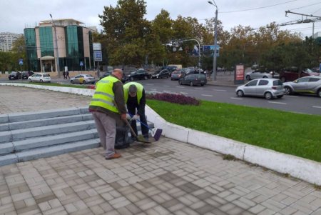 Специалисты приводят в порядок городские объекты монументального искусства (фото)