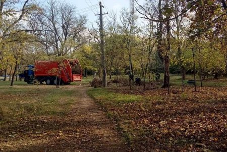Ежедневно 120 коммунальщиков убирают зеленые зоны города (фото)