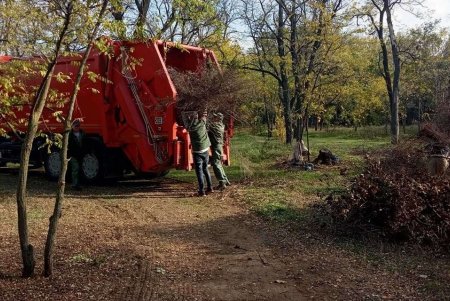 Ежедневно 120 коммунальщиков убирают зеленые зоны города (фото)