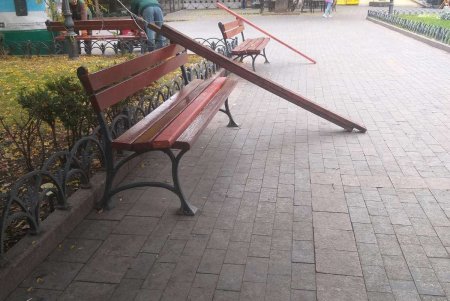 Ежедневно 120 коммунальщиков убирают зеленые зоны города (фото)