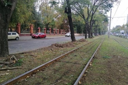 Ежедневно 120 коммунальщиков убирают зеленые зоны города (фото)