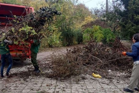 Ежедневно 120 коммунальщиков убирают зеленые зоны города (фото)