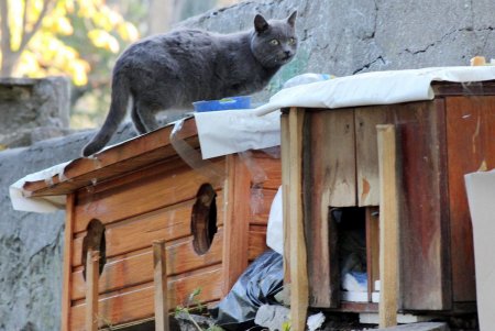 Одесса скорбит: в городе объявлен день траура в память о Михаиле Жванецком (фоторепортаж)