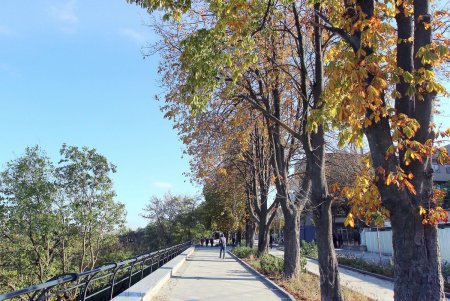Одесса скорбит: в городе объявлен день траура в память о Михаиле Жванецком (фоторепортаж)