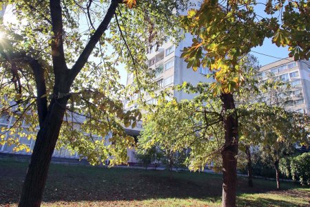 Одесса скорбит: в городе объявлен день траура в память о Михаиле Жванецком (фоторепортаж)