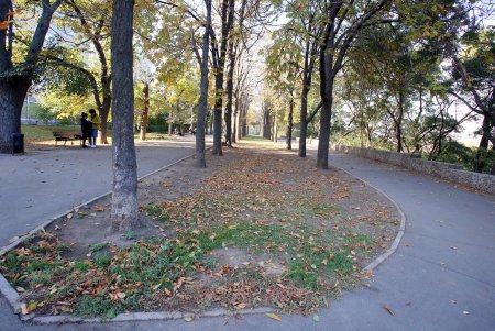 Одесса скорбит: в городе объявлен день траура в память о Михаиле Жванецком (фоторепортаж)