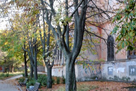 Одесса скорбит: в городе объявлен день траура в память о Михаиле Жванецком (фоторепортаж)