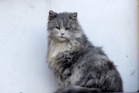 Воскресная прогулка по Пишоновской (фоторепортаж)