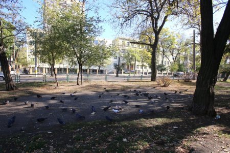 Каким одесситы увидят сквер Регенсбург (фоторепортаж)