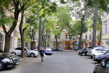 Покровский – один из самых зеленых переулков в Одессе (фоторепортаж)