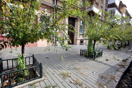 Покровский – один из самых зеленых переулков в Одессе (фоторепортаж)