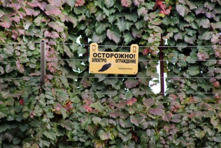 Покровский – один из самых зеленых переулков в Одессе (фоторепортаж)