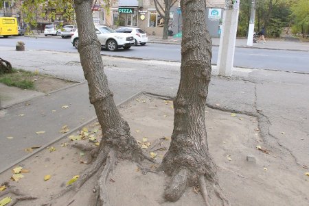 Улица Черняховского в ближайшее время изменит свой облик (фоторепортаж) 
