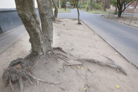 Улица Черняховского в ближайшее время изменит свой облик (фоторепортаж) 