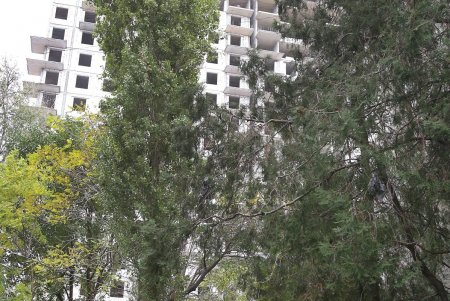 Улица Черняховского в ближайшее время изменит свой облик (фоторепортаж) 