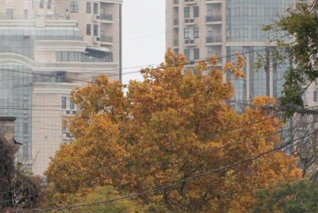 Улица Черняховского в ближайшее время изменит свой облик (фоторепортаж) 