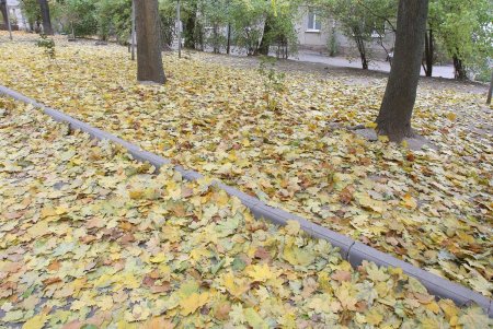 Улица Черняховского в ближайшее время изменит свой облик (фоторепортаж) 