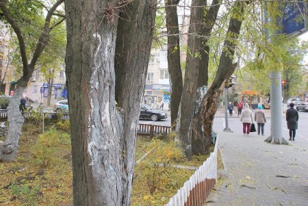 Улица Черняховского в ближайшее время изменит свой облик (фоторепортаж) 