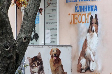 Улица Черняховского в ближайшее время изменит свой облик (фоторепортаж) 