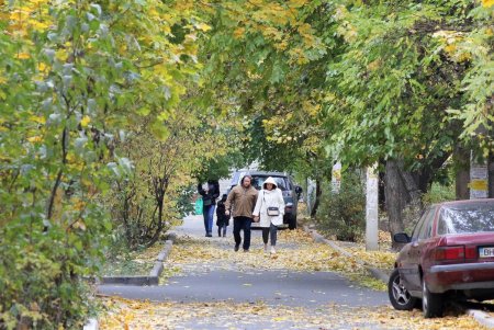 Улица Черняховского в ближайшее время изменит свой облик (фоторепортаж) 