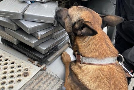 Более 20 килограммов кокаина на четыре миллиона долларов изъяли в порту «Южный» (фото, видео)