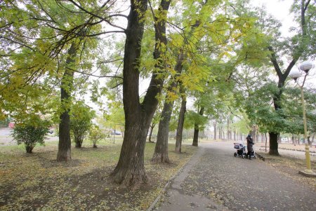 Сквер Мечникова капитально ремонтируют (фоторепортаж)