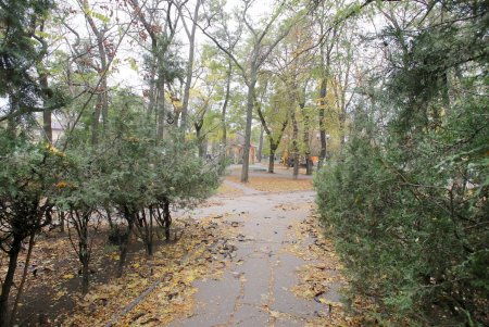 Сквер Мечникова капитально ремонтируют (фоторепортаж)