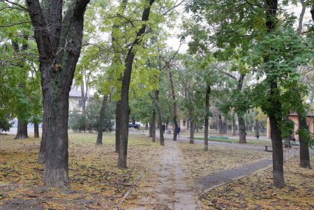 Сквер Мечникова капитально ремонтируют (фоторепортаж)