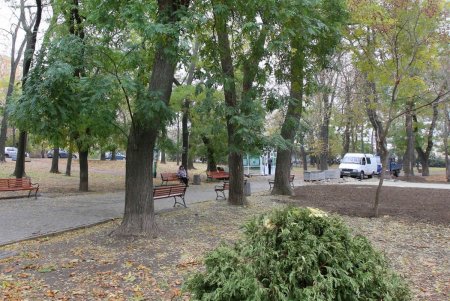 Сквер Мечникова капитально ремонтируют (фоторепортаж)