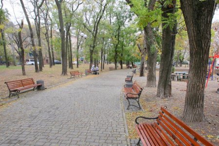 Сквер Мечникова капитально ремонтируют (фоторепортаж)