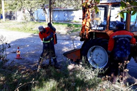 Коммунальщики регулярно убирают опавшую листву с тротуаров и газонов, очищают от нее дождеприемники (фото)