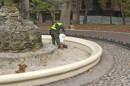 В центре города коммунальщики очистили ряд бюветов, памятников и фонтанов (фото)