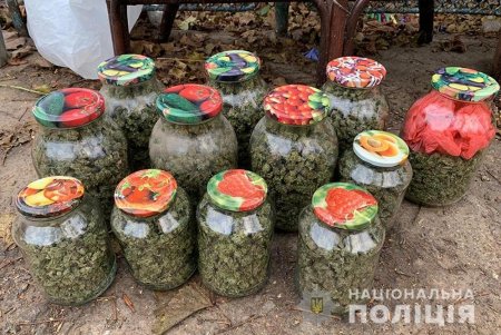 Марихуана, амфетамин: у троих жителей Одесской области полицейские изъяли наркотики на миллион гривен (фото, видео)