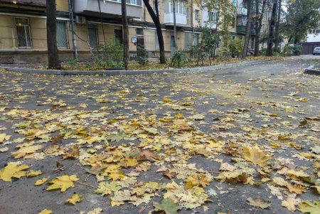 В Одессе завершили капитальный ремонт внутриквартальных проездов и внутридомовых территорий (фото) 