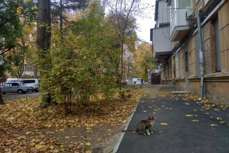 В Одессе завершили капитальный ремонт внутриквартальных проездов и внутридомовых территорий (фото) 