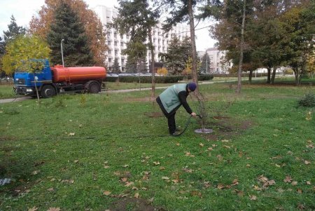 Более 120 озеленителей ежедневно ухаживают за деревьями и цветниками по всему городу (фото)