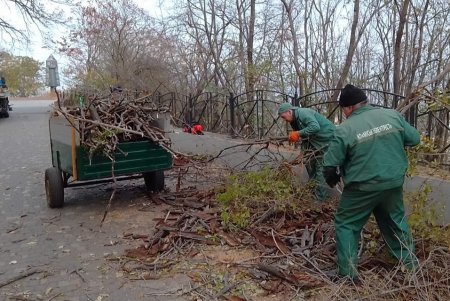Более 120 озеленителей ежедневно ухаживают за деревьями и цветниками по всему городу (фото)