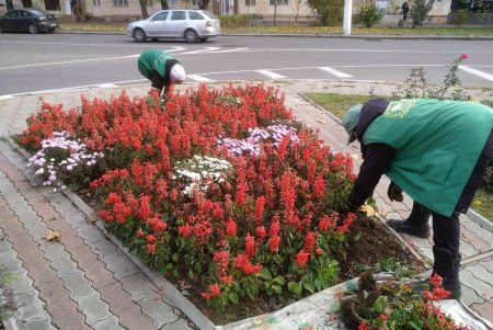 Более 120 озеленителей ежедневно ухаживают за деревьями и цветниками по всему городу (фото)
