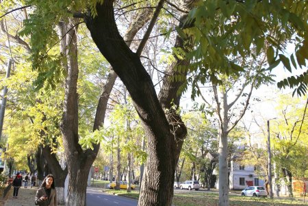 Адмиральский проспект: от рабочего поселка до одной из ключевых улиц города (фоторепортаж) 