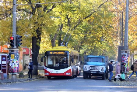 Адмиральский проспект: от рабочего поселка до одной из ключевых улиц города (фоторепортаж) 