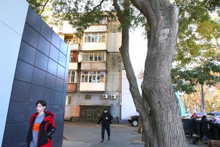 Адмиральский проспект: от рабочего поселка до одной из ключевых улиц города (фоторепортаж) 