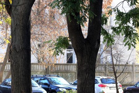Адмиральский проспект: от рабочего поселка до одной из ключевых улиц города (фоторепортаж) 